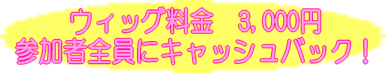 ウィッグ料金3,000円キャッシュバック