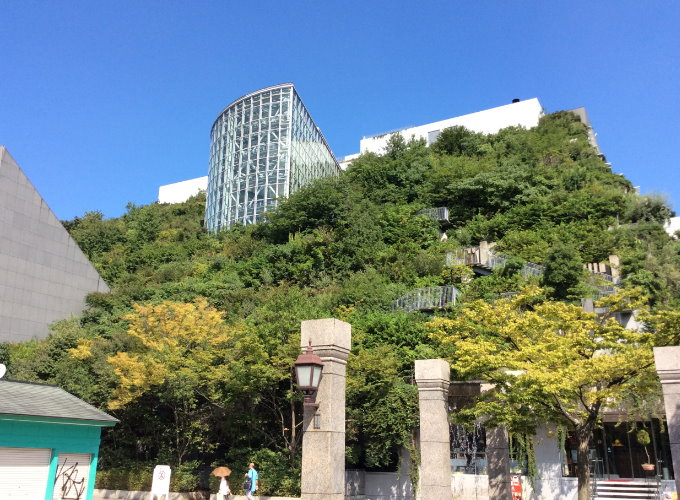 長野県の長寿の秘密