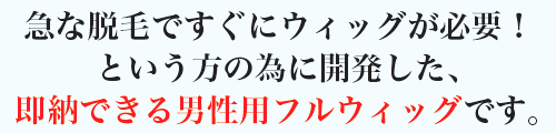 即納できる男性用全かつら画像