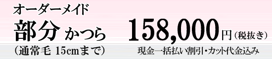 部分かつら値段画像