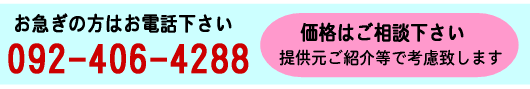 かつら4テレビ雑誌ドラマ撮影に