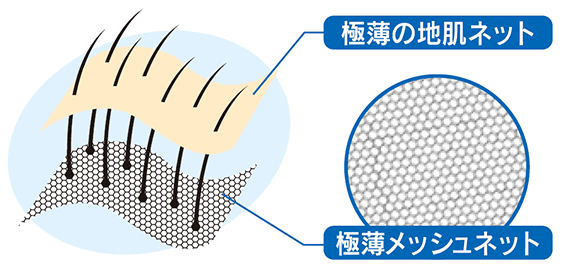 リアルな頭皮を実現