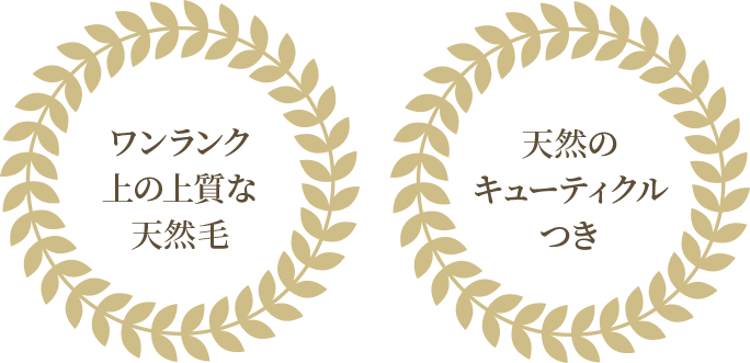 カノン「レミーエンジェル」タイプ