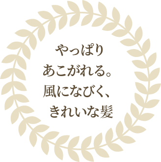 やっぱりあこがれる。風になびく、きれいな髪