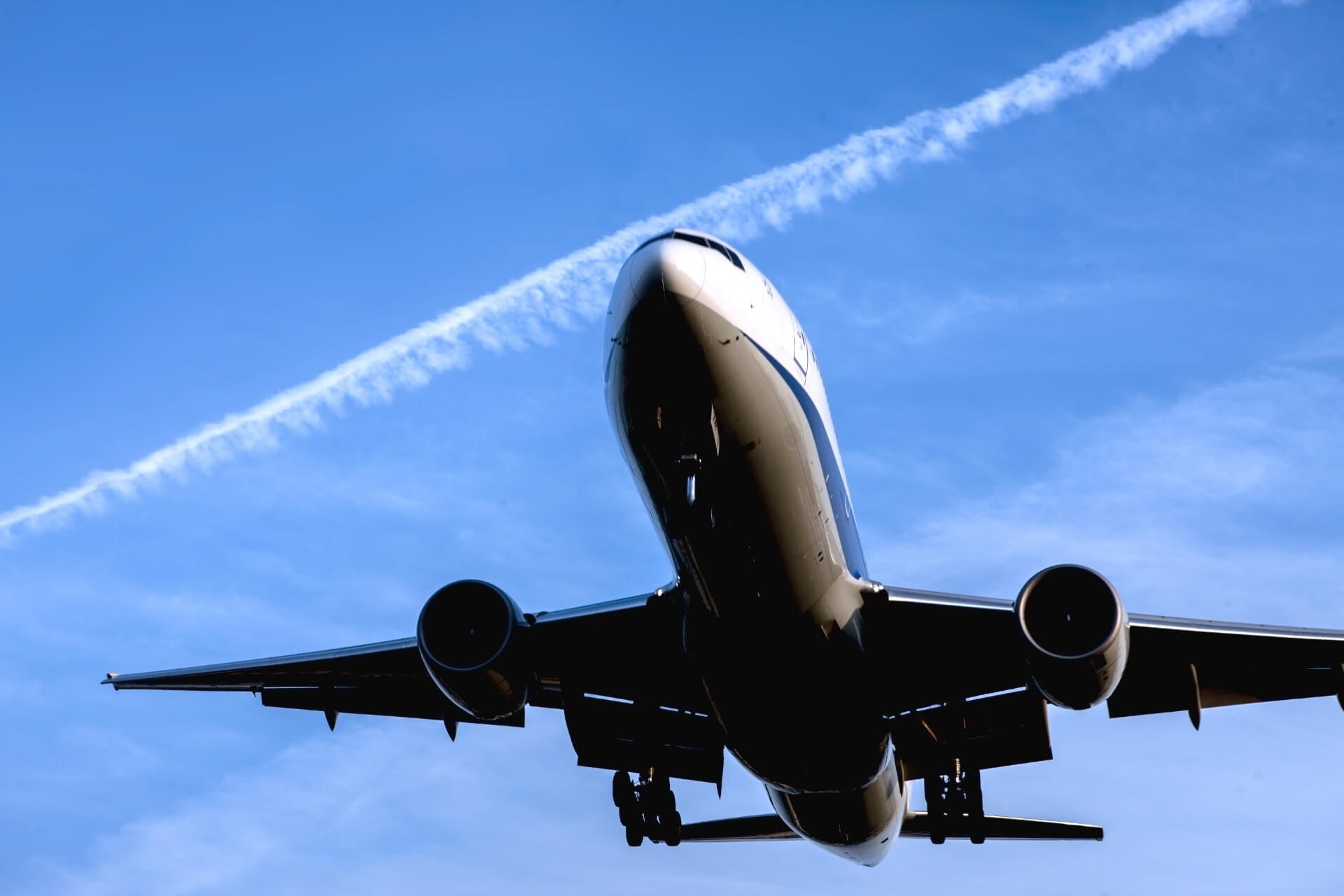 かつらを着けて空港のゲートを通れる？