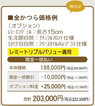 オーダーメイド全かつら価格例