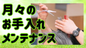 月々かつらメンテナンス・ウィッグお手入れ