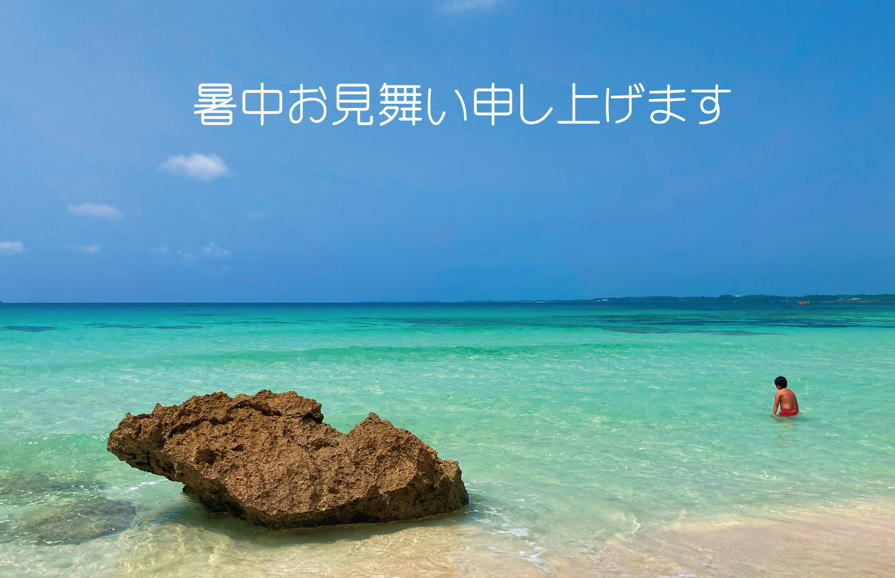 夏の季節☆かつらWith