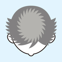部分かつら(部分ウィッグ)