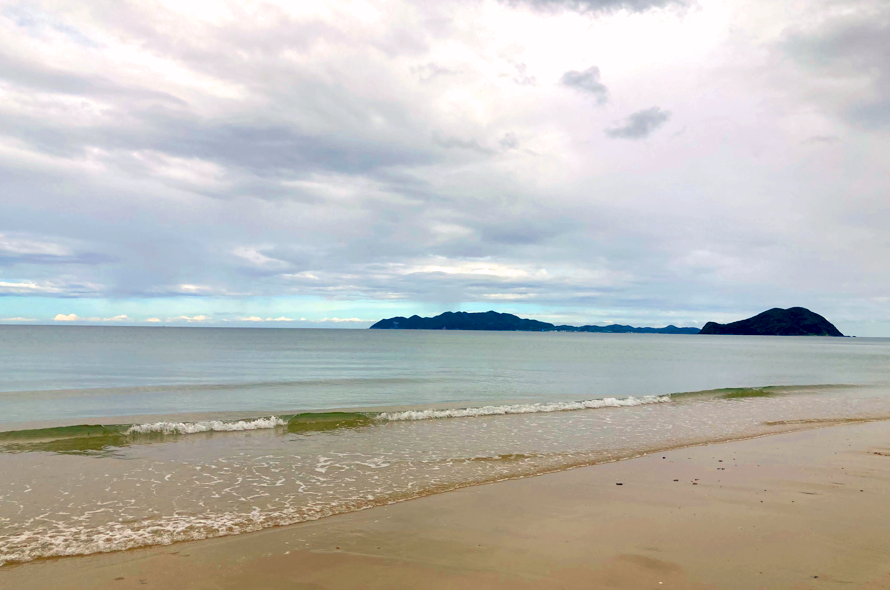 かつら供養2025【年毛神社】お祓い10