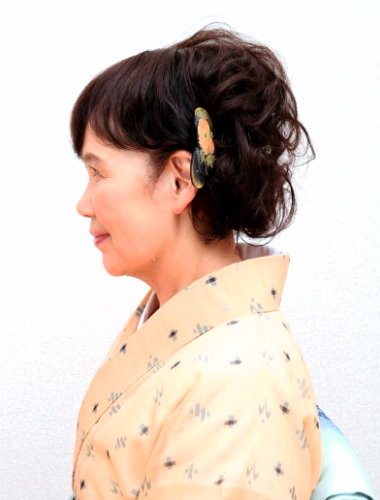 付け毛とウィッグはどう違う？【How To Wig】大人ウィッグスタイル